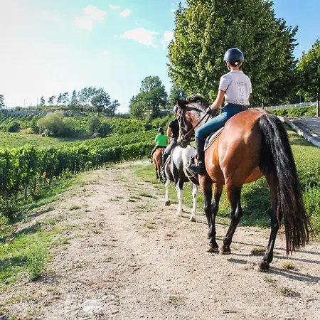 Vakantieboerderij Borgo San Gregorio