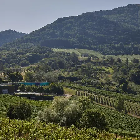 Vakantieboerderij Borgo San Gregorio *