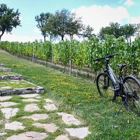 Feudi Di San Gregorio - Wine Estate * Sorbo Serpico